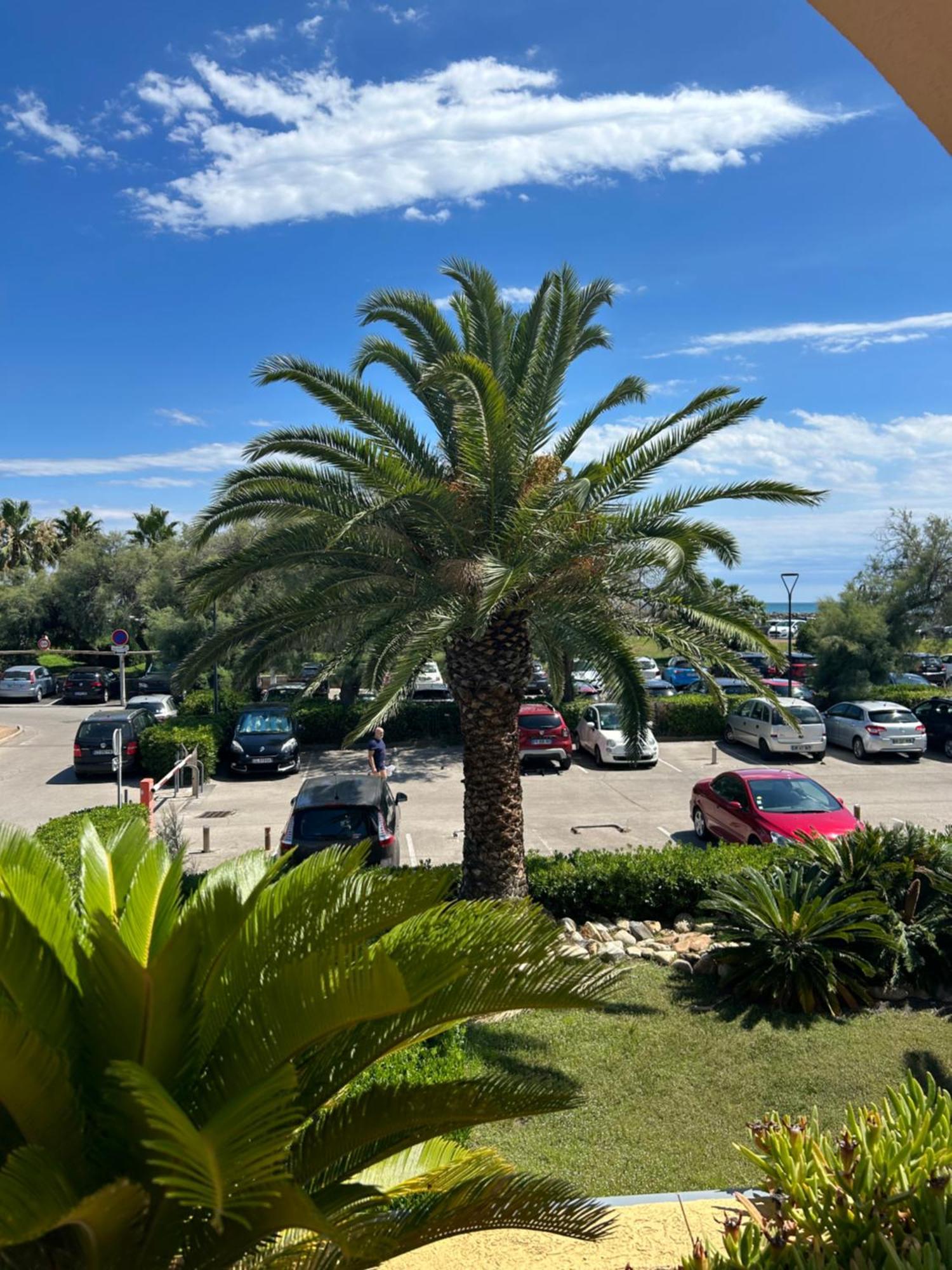 Vintage De 54m2 Avec Terrasse De 37m2 Vue A Apartment Sete